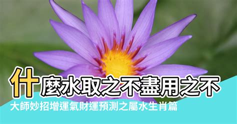 水代表財|為何傳統風水中以水為財？